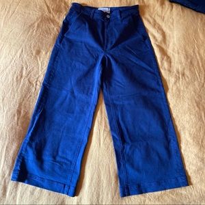 Everlane wide leg crop